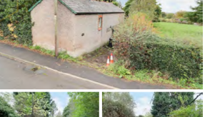 Development Potential in Kelsall photo